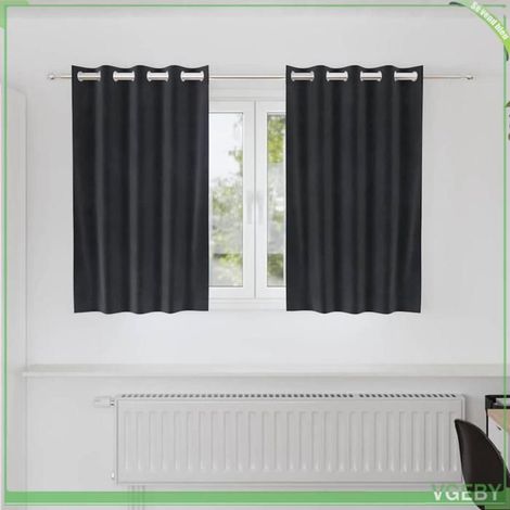 4107223 Rideaux occultants 2 pcs Gris foncé 140 x 140 cm Velours (1/5)