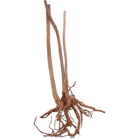 M Stump Wurzel Nr.3532 Holz Deko Aquascaping