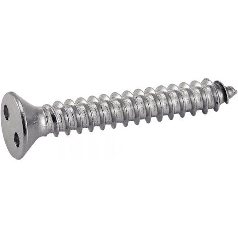 Vite a lamiera con testa fresata inviolabile - Snake Eyes - Inox A2 3,5x25 mm - Confezione da 100 (1/3)