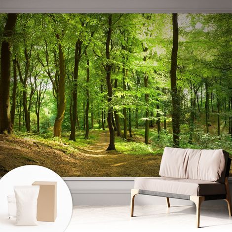 Carta Da Parati - Mural - Con Sala Da Pranzo - Camera Da Letto - Cameretta - Con Colla Gratuita Sentiero naturale 312x219 cm (1/5)
