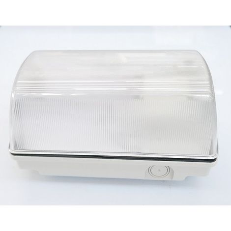 Hublot rectangulaire diffuseur transparent 206x110x113mm pour lampe 60W max culot B22 230V (non incl) étanche IP55 MIZAR