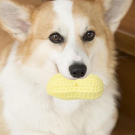 Peanut Shaped Dog Chew Toy Compact and Easy to Carry for Puppy Dental Care