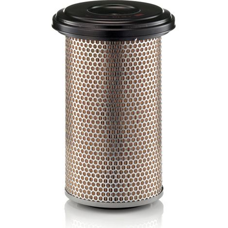 Filtre à air Mann Filter C20325/2