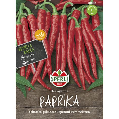 Sperli – Piment de Cayenne Cayenna De Cayenne (Capsicum annuum) – Graines d'aromatiques, hauteur env. 60 cm (1/2)