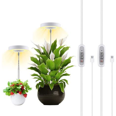 LED grow light for plants, adjustable brightness, 2/4/8h timer, mini circle, for indoor plants (1/5)