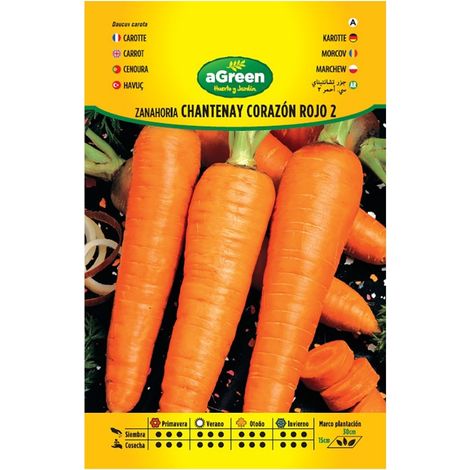Sachet de graines de carotte Chantenay Cœur Rouge 2
