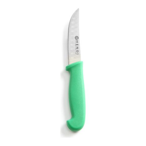 Hendi - Couteau universel HACCP 13 cm, vert - pour légumes et fruits (1/3)