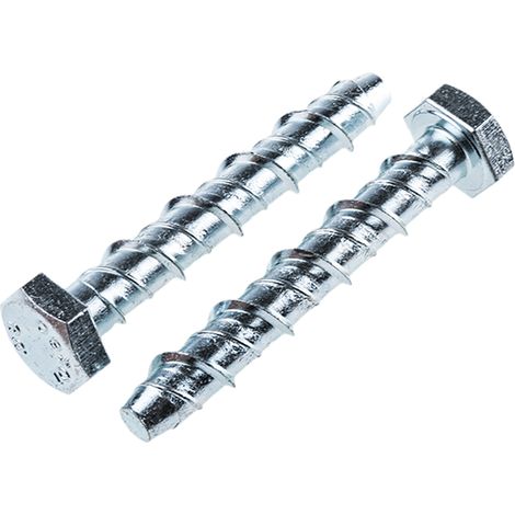 Tire-fond RS PRO, en Acier, 10mm x 60mm ( Prix pour Sachet de 10 )