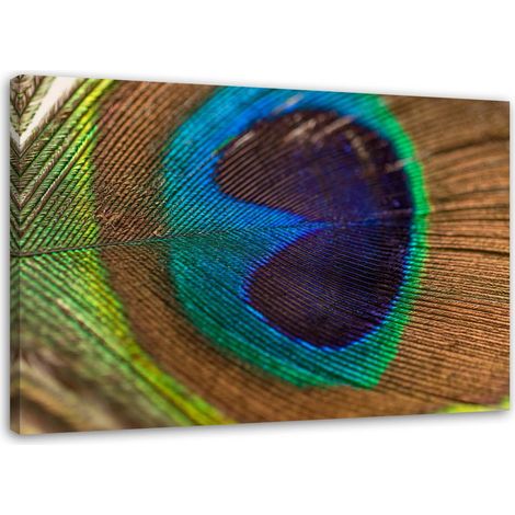 Tableau sur toile paon oiseau plume 60x40 (1/5)