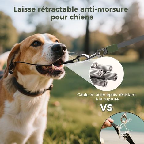 Laisse rétractable pour chien avec distributeur de sacs, laisse en acier robuste jusqu'à 35kg