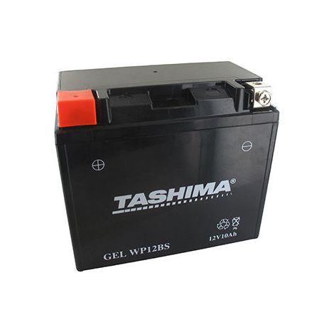 Batteria al Piombo sigillata al Gel/AGM 12V WP, 10A. L: 152, L: 88, H: 131 mm, + a Sinistra. - Batteria da mettere in acido prima di consegnare