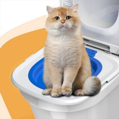 Kit D'Entranement Toilettes pour Chat Entraneur Toilettes pour Chat Réutilisable Universel Outil de Siège D'Entranement bleu (1/5)
