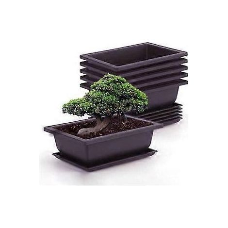Ensemble de 6 pots de culture pour bonsaï avec soucoupe, pots de fleurs carrés en plastique pour plantes succulentes, adaptés au jardin, au salon et au bureau. (1/5)