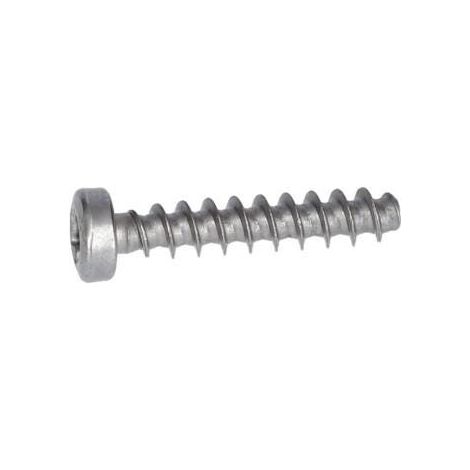 Vis a tete bombee torx pour Marteau perforateur BOSCH OUTILLAGES - 1613435040