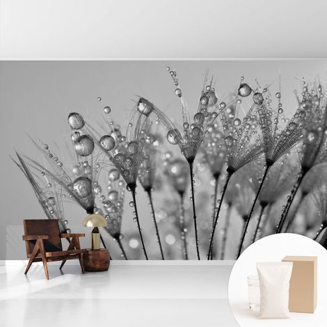 Papier peint intissé pour salon chambre à coucher peint imprimé pour mur - Colle incluse gratuite Délice humide 416x254 cm (1/5)