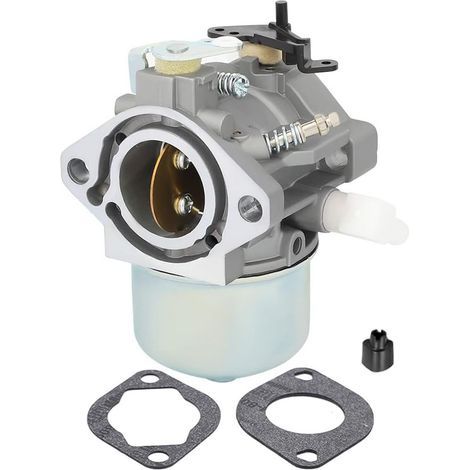 Carburateur 699831 694941 – Références 28D702, 28D707, 28M707, pour tondeuse autoportée, entretien moteur facilité (1/5)