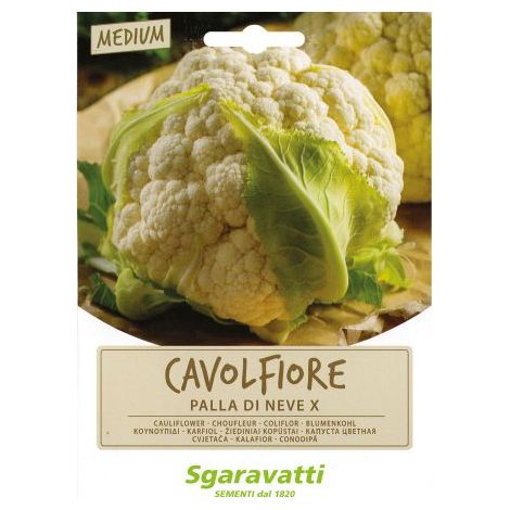 SEMI PER ORTAGGI E VEGETALI cavolfiore palla di neve X