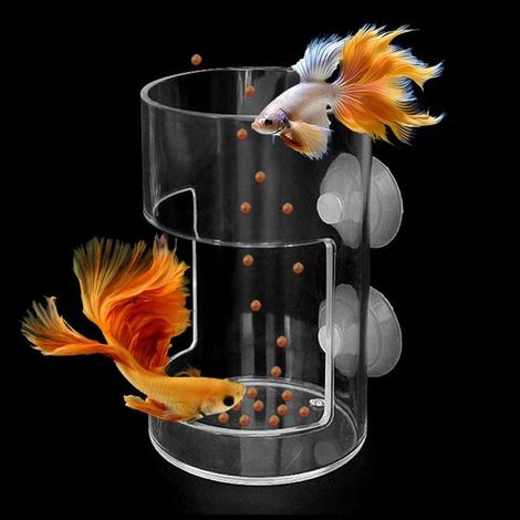 Distributeur de nourriture pour poissons flottant avec ventouse - Garde l'aquarium propre et organisé (1/5)