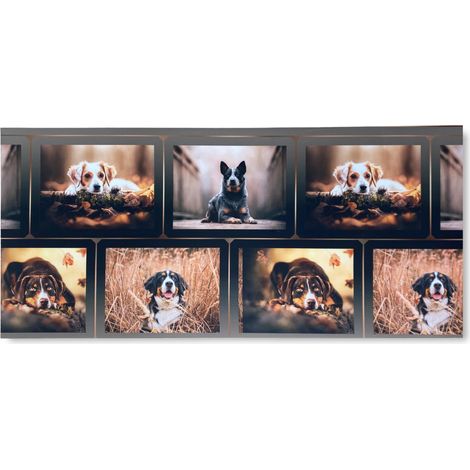 TAPPETO Runner da CUCINA Passatoia Antiscivolo CANE Cani Made in Italy Cm. 50x320 (1/5)