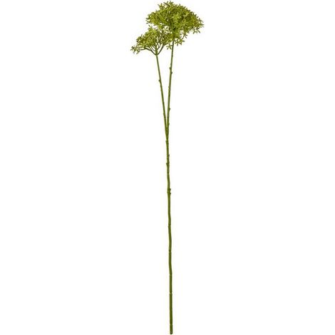 Crown Hydrangea (Single Stem Flower) - Plastic - L15 x W18 x H71 cm - Green