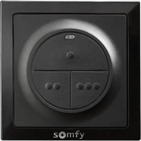 1870787 - Receptor inalámbrico Somfy Izymo 2Xlighting Receptor Io