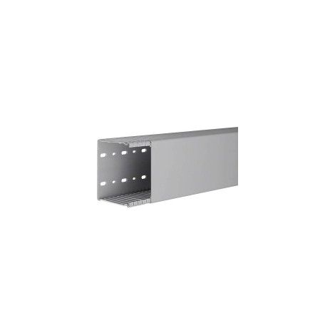 Tehalit Verdrahtungskanal BA6 80100B gr 2 Stk (1/2)