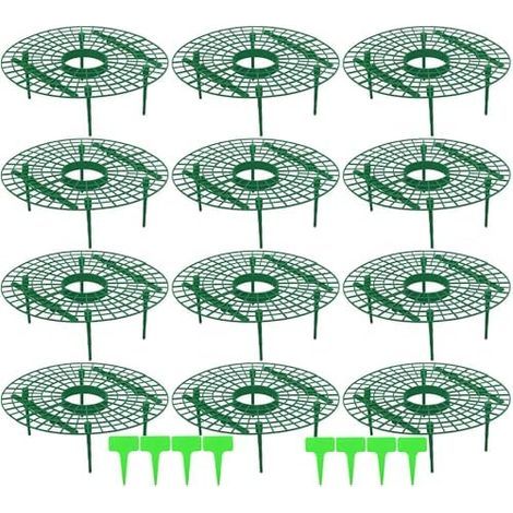 Lot de 12 supports pour fraises - Pour salade, tomates, plantes, légumes, fleurs, escargots Protection contre la pourriture Pcs (1/5)