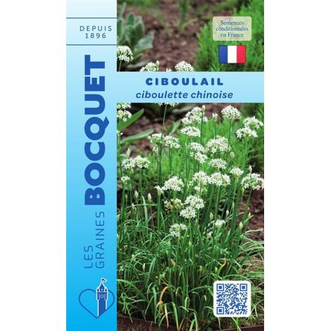 Ciboulail - 1g