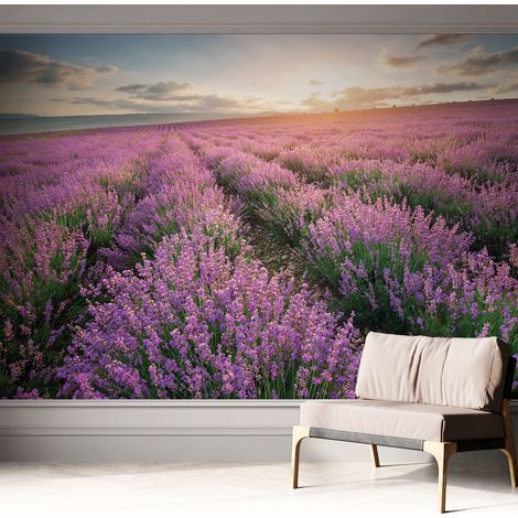Carta da parati autoadesiva - Fotomurale adesivo - soggiorno moderno - resistente - Campi di lavanda 312x219 cm (1/5)