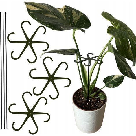 Supporto per piante e fiori, supporto robusto, pinza di supporto con asta L 20 3x (1/5)
