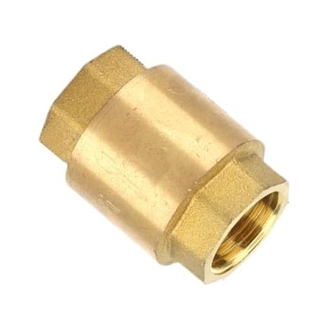 Clapet anti-retour en laiton, unidirectionnel horizontal Valve à ressort à filetage femelle Valve à ressort vertical avec ressort en D (1/5)