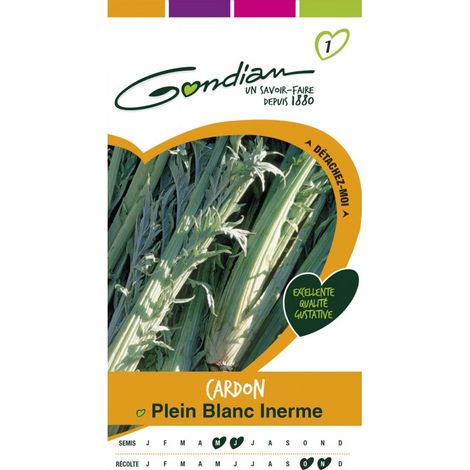 Gondian - Cardon Plein Blanc Inerme (1/3)