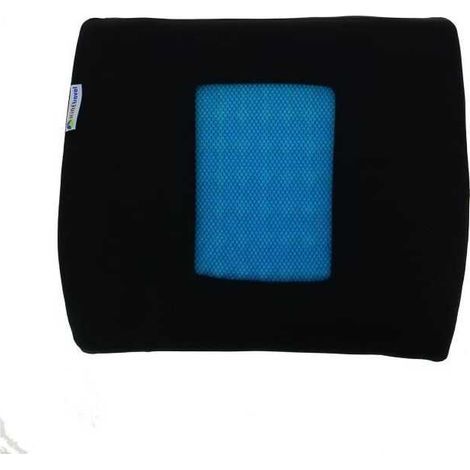 Coussin lombaire + Gel - KINE TRAVEL - 169821 - Noir et bleu (1/3)