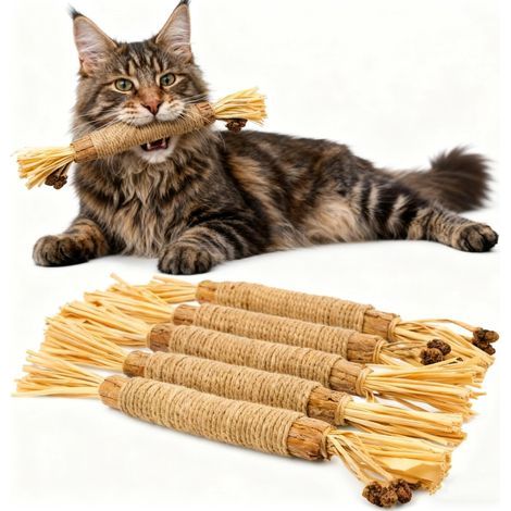 Natürliche Silbersticks für Katzen, Matatabi Zahnpflege, Kausnacks (1/5)