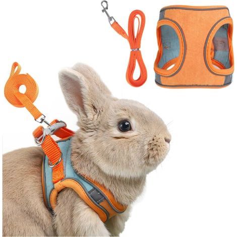Harnais avec laisse pour lapin et petits animaux (1/4)