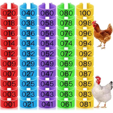 50 Bagues d'Identification pour Poules, Anneaux Clip-On pour Pattes de Poulet, Canard, Oie, 5 Couleurs, 16mm (1/5)