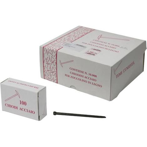 CHIODI ACCIAIO GRUPPINO CF.100 PZ 1,2X30