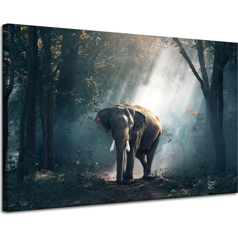 Leinwanddruck Tiere Elefant 120x80 cm