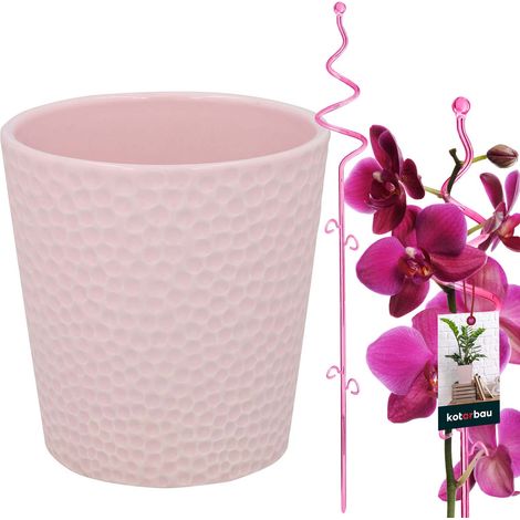 KOTARBAU® Set bestehend aus einem rosafarbenen Blumentopf (15 cm) mit rosafarbener Stütze (58 cm) für Blumen, einem Keramik-Blumentopf und einer Kunststoffstütze für Pflanzen und Orchideen (1/5)