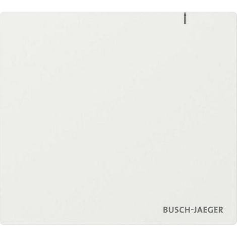 Busch-Jaeger SYSTEM ACCESS POINT 3.0 (SAP.13)