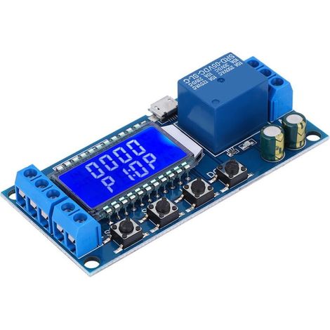 Module de Relais. Module de Relais à Retard. Module de Minuterie à Cycle de Retard de 5 V 12 V 24 V. 0.01 s à 9 999 min avec écran LCD (1/4)