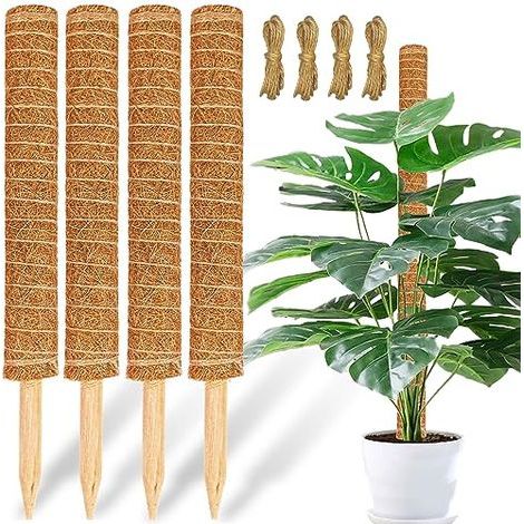 Les supports pour plantes en mousse et les supports pour plantes en fibre de coco, de 43 cm de diamètre et jusqu'à 135 cm de hauteur, conviennent aux plantes grimpantes d'intérieur. (1/5)