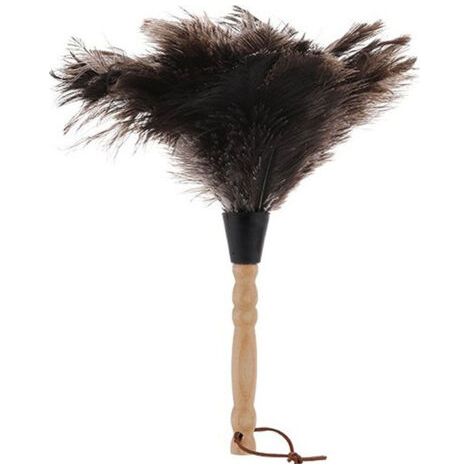 Plumeau plumeau statique lavable à la main dinde plumeau plumeau avec long manche en bois aspirateur granules doux plume épaisse (1/5)