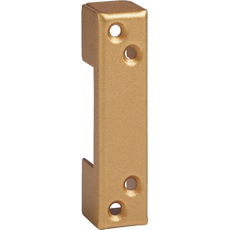 Schließblech ISEO Metallzarge 49 Bronzé Or - 97024900SA