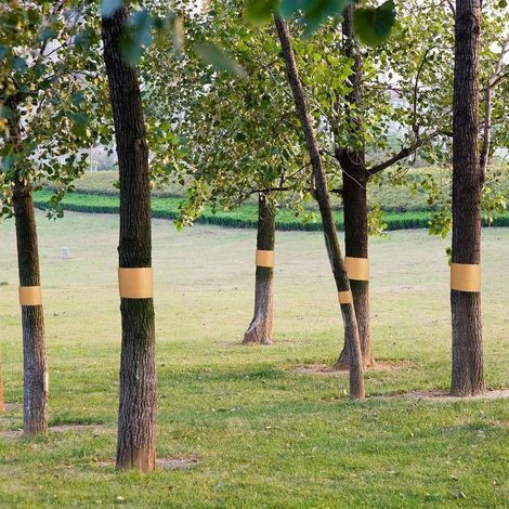 Fita De Protection Para Arvores 50 x 5 cm, Anti-Lagartas – Adesiva Para Pomares E Jardins (1/4)