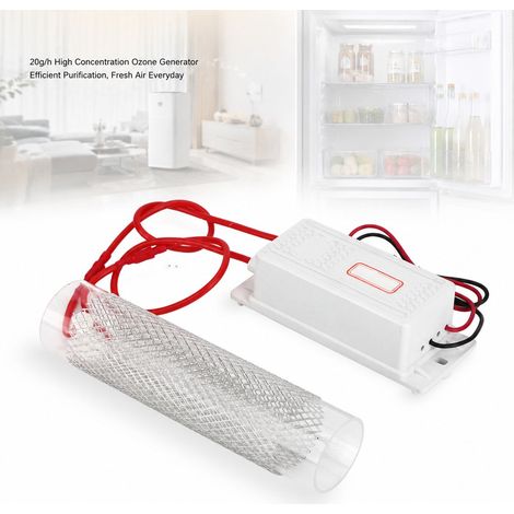 Generatore di ozono - 20 g/h - Tubo in vetro e metallo - Purificatore d'aria compatto per frigorifero e casa, 220 V (1/5)