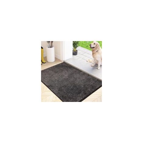 Paillasson Attrape-Poussière, Tapis de Sol Antidérapant Lavable en Machine avec Microfibres Douces Absorbantes pour Chien, Entrée, Porte et Couloir, Gris Charbon , 45 x 75 cm (1/5)