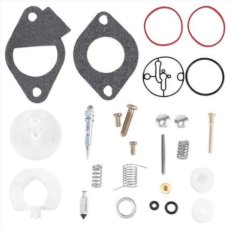 Kit de réparation de carburateur pour tondeuse à gazon Briggs-Stratton 11-19 CV, kit de réfection complet 796184 Master Overha (1/5)