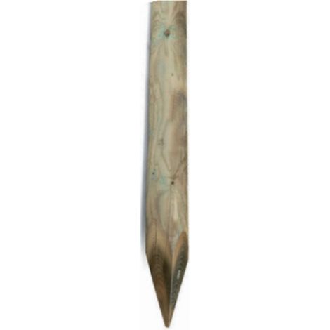 Palo Impregnato Tondo Con Punta Cm 5X100 H