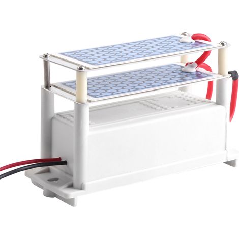 Générateur d'ozone portable 12V 10g/h pour voiture, stérilisateur d'air à plaque céramique (1/5)